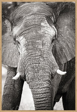 Load image into Gallery viewer, Big Guy BW