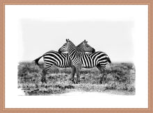 Load image into Gallery viewer, Co-operation