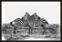 Load image into Gallery viewer, Co-operation