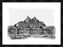 Load image into Gallery viewer, Co-operation