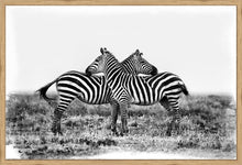 Load image into Gallery viewer, Co-operation