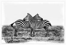 Load image into Gallery viewer, Co-operation