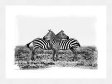 Load image into Gallery viewer, Co-operation