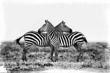 Load image into Gallery viewer, Co-operation