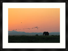 Load image into Gallery viewer, Elephants at Sunset