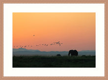 Load image into Gallery viewer, Elephants at Sunset