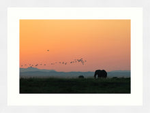 Load image into Gallery viewer, Elephants at Sunset