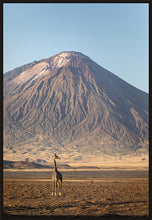 Load image into Gallery viewer, Giraffe in golden light