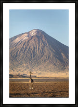 Load image into Gallery viewer, Giraffe in golden light