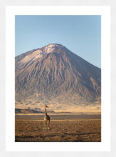 Load image into Gallery viewer, Giraffe in golden light