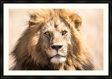 Load image into Gallery viewer, The King