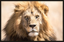 Load image into Gallery viewer, The King