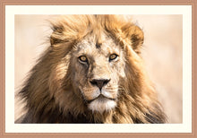 Load image into Gallery viewer, The King