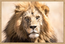 Load image into Gallery viewer, The King