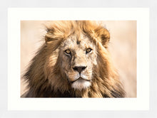 Load image into Gallery viewer, The King