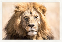 Load image into Gallery viewer, The King