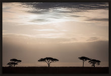 Load image into Gallery viewer, Moonlight in the Serengeti in landscape