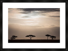 Load image into Gallery viewer, Moonlight in the Serengeti in landscape