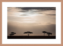 Load image into Gallery viewer, Moonlight in the Serengeti in landscape