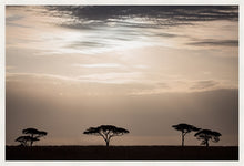 Load image into Gallery viewer, Moonlight in the Serengeti in landscape