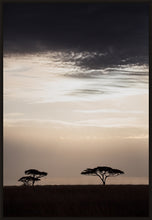 Load image into Gallery viewer, Moonlight in the Serengeti in portrait