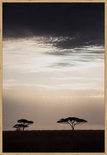 Load image into Gallery viewer, Moonlight in the Serengeti in portrait