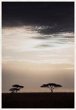 Load image into Gallery viewer, Moonlight in the Serengeti in portrait