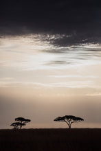 Load image into Gallery viewer, Moonlight in the Serengeti in portrait