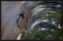 Load image into Gallery viewer, Mr Lashes