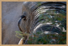 Load image into Gallery viewer, Mr Lashes