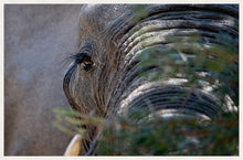 Load image into Gallery viewer, Mr Lashes