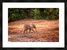 Load image into Gallery viewer, Mud Bath