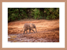 Load image into Gallery viewer, Mud Bath