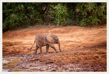 Load image into Gallery viewer, Mud Bath