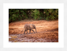 Load image into Gallery viewer, Mud Bath