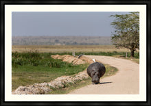 Load image into Gallery viewer, The hitch-hiker