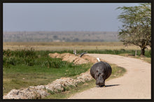 Load image into Gallery viewer, The hitch-hiker