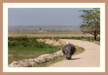 Load image into Gallery viewer, The hitch-hiker