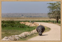 Load image into Gallery viewer, The hitch-hiker