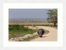 Load image into Gallery viewer, The hitch-hiker