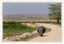 Load image into Gallery viewer, The hitch-hiker