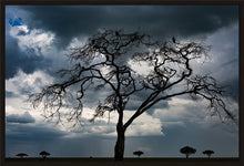 Load image into Gallery viewer, Tree of death