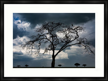 Load image into Gallery viewer, Tree of death