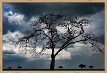 Load image into Gallery viewer, Tree of death