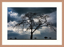 Load image into Gallery viewer, Tree of death