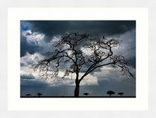 Load image into Gallery viewer, Tree of death