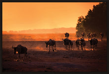 Load image into Gallery viewer, Wildebeest Migration