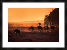 Load image into Gallery viewer, Wildebeest Migration