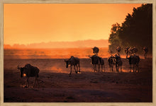 Load image into Gallery viewer, Wildebeest Migration