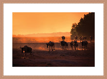 Load image into Gallery viewer, Wildebeest Migration